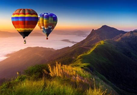 All-Inclusive Wine Tasting Tour with Vineyard Lunch